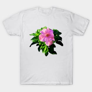 Beautiful Pink flower T-Shirt